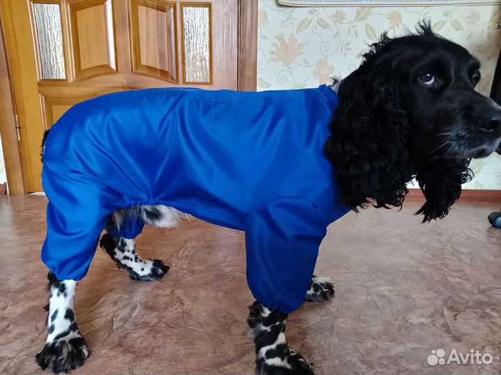 Дождевик комбинезон для собаки