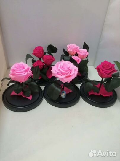 Роза в колбе