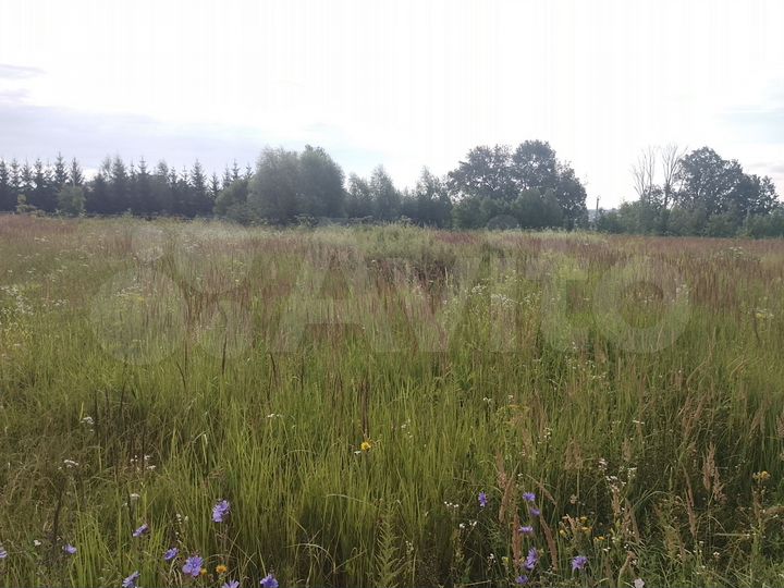 Участок 17,8 сот. (ИЖС)