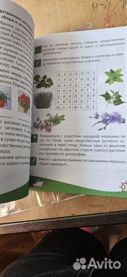 Кубановедение 2 класс