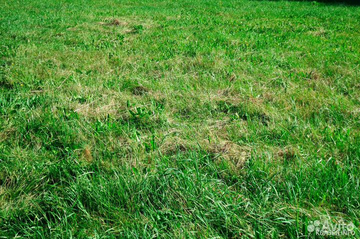 Благоустройство участка Ландшафтные работы