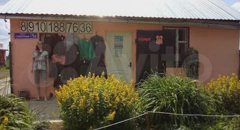 Участок 55 сот. (СНТ, ДНП)