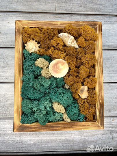 Картина из стабилизированного мха