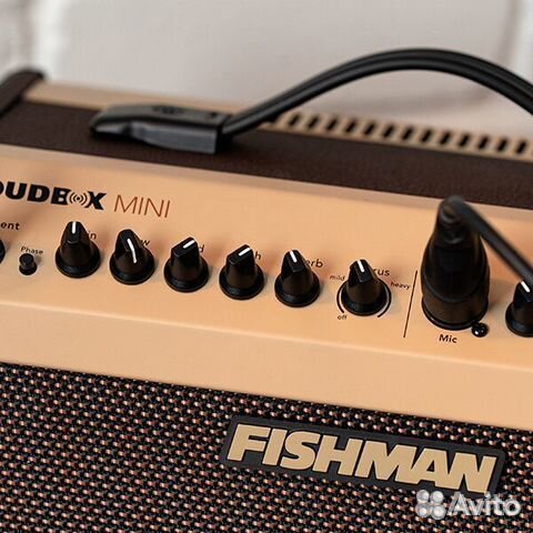Fishman Loudbox Mini with Bluetooth
