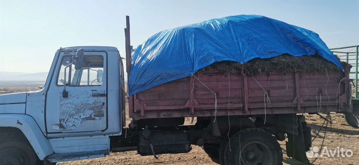 Перегной. Навоз. Вывоз мусора