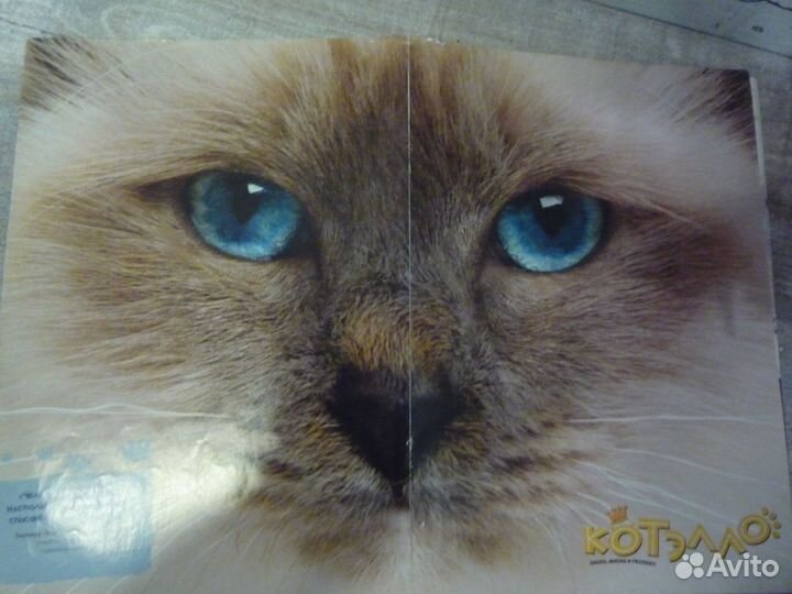 Детские журналы 