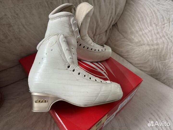 Фигурные коньки edea chorus 235