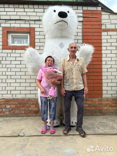 Большой медведь аниматор