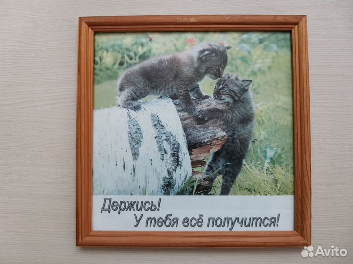 Рамки со стеклом, дерево 25х25 и 25х35