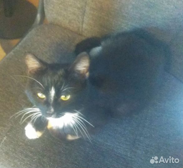 Полностью здоров ждёт Вас