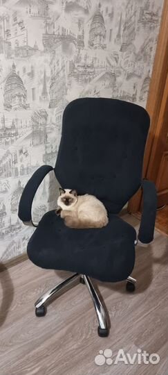 Компьютерное кресло