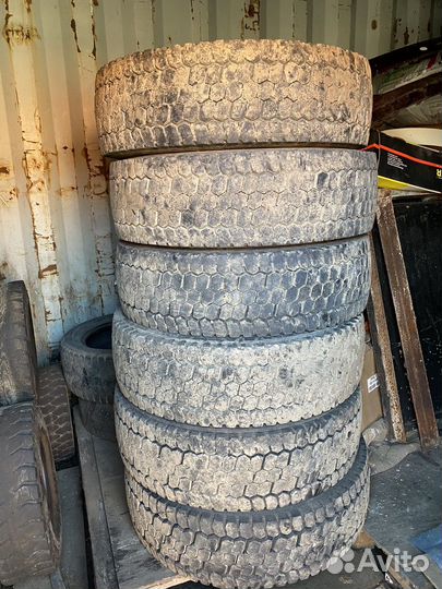 Шины 245 70 19.5 кама