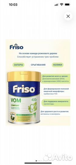 Friso vom 1