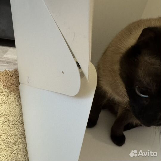 Лайтбокс для предметной съёмки