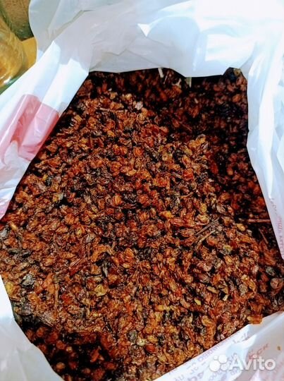 Облепиха ягода -сушеная