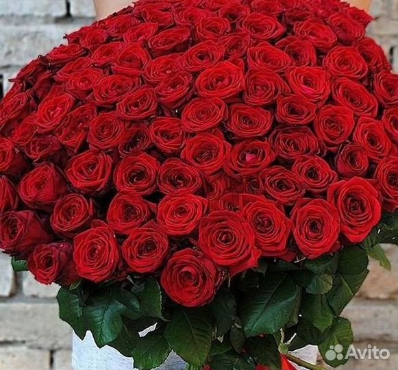 51 Роза, Букеты Цветы Розы 25 101 501 1001