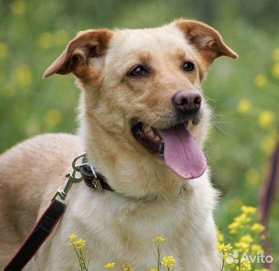 Зои - само совершенство