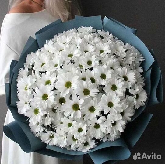 Хризантема