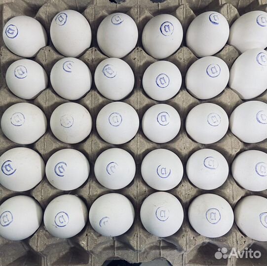 Яйцо куриное оптом и в розницу