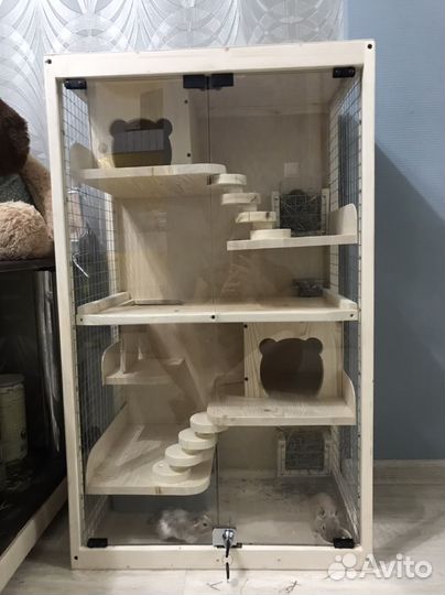 Витрина для грызунов