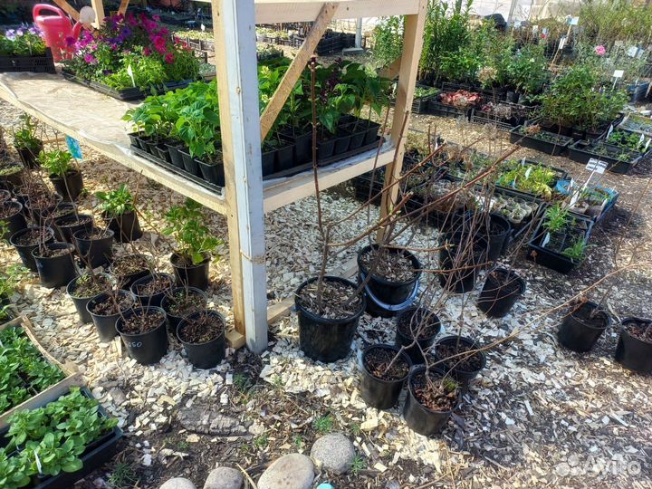 Декор для сада и огорода