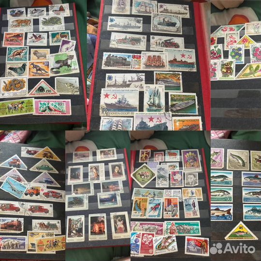Коллекция марок