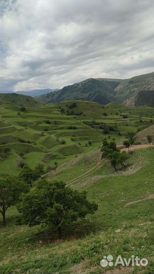Тур по Дагестану. В подарок скоростной зиплайн