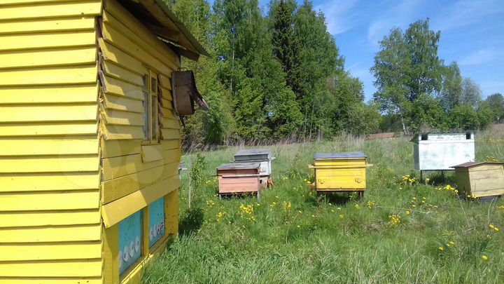 Дом 60 м² на участке 1,2 га