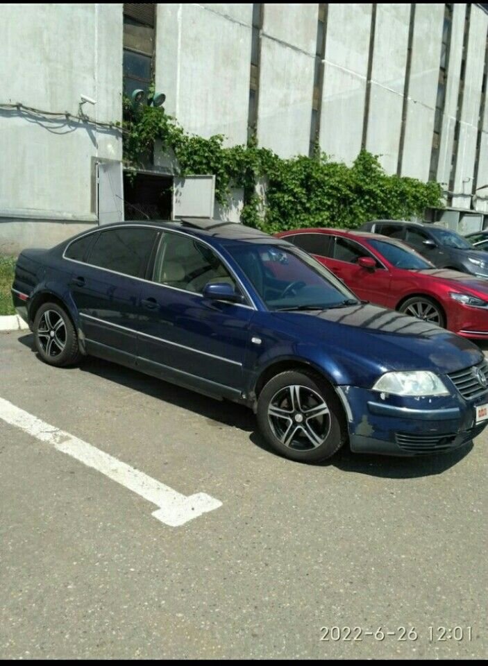 Volkswagen Passat: фото владельца