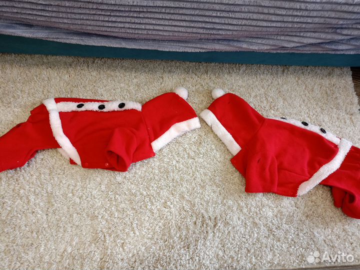 Одежда для собак