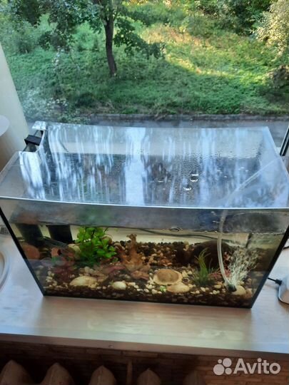 Аквариум