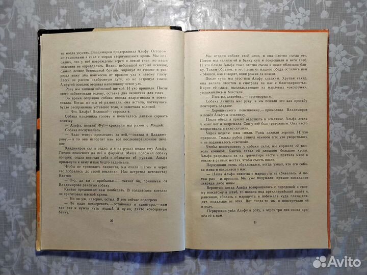 В. Великанов. Разбойник и мишка