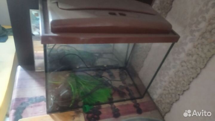 Аквариум
