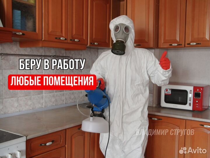 Уничтожение тараканов, клопов, плесени/Дезинфекция