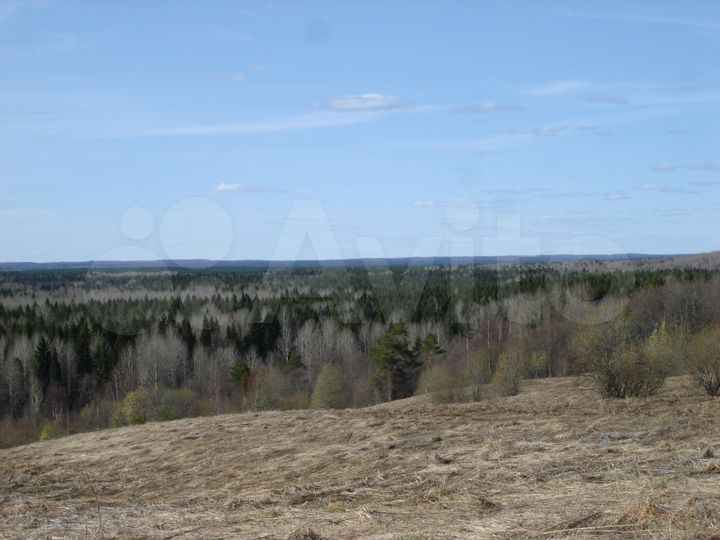 Участок 14 сот. (ИЖС)