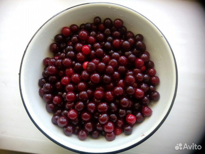 Вишня свежая с доставкой по Таганрогу