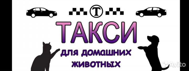 Зоотакси. Перевозка домашних животных