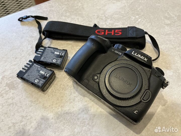Panasonic gh5