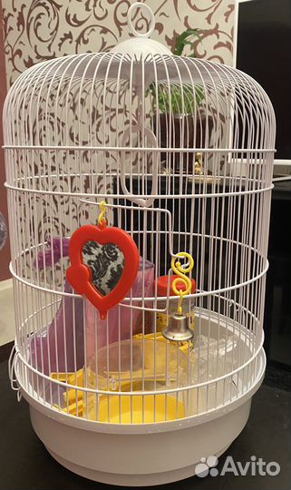 Клетка большая для птиц попугаев