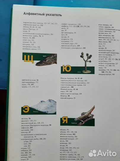 Книга Азбука природы