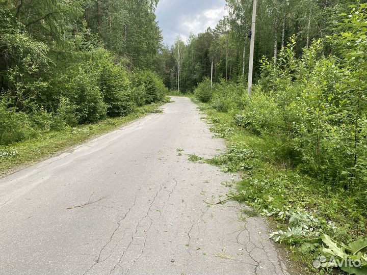 Покос травы трактором, покос борщевика