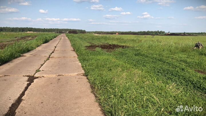 Торф для огородов