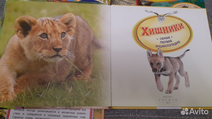 Самая первая энциклопедия