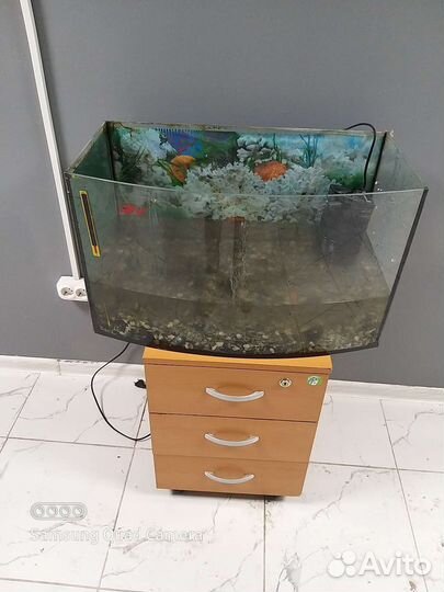 Аквариум для рыб
