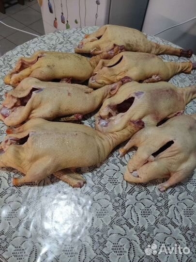 Мясо утки