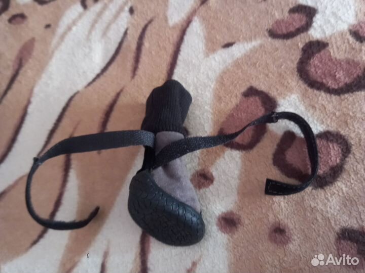 Обувь для собак мелких пород