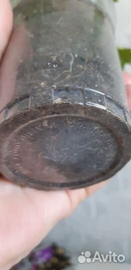 Пеларгонии Richard Hodgson и Pink chart