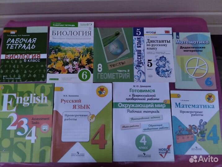 Дидактические материалы, рабочие тетради и др