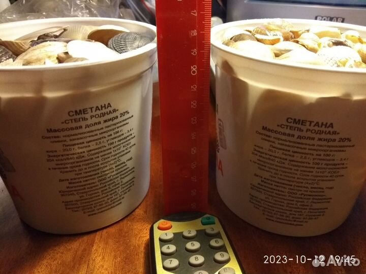 Морское дно