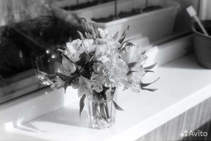 Проявка и Оцифровка черно-белых фотопленок